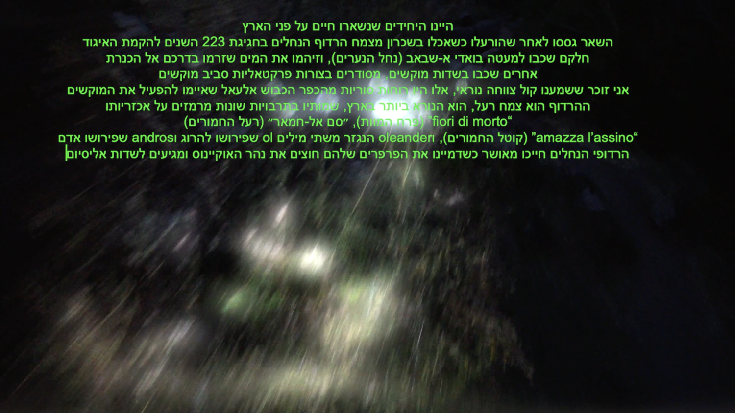 דימוי לפרוייקט