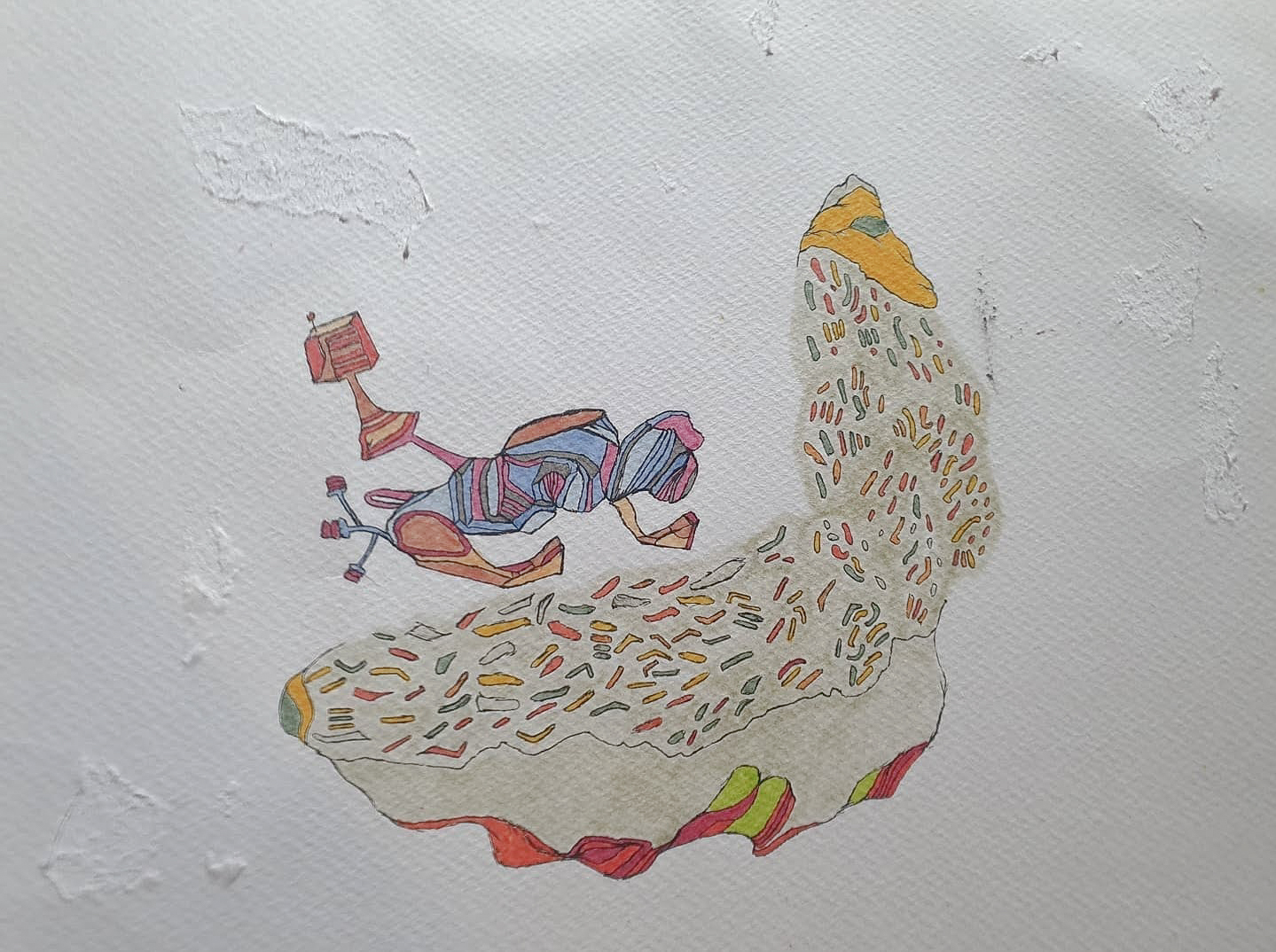 חייט אליאור,איור 2019 30x20 .